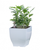 G21 Cube mini bílý 13.5 cm